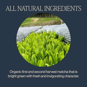 Rishi Tea Everyday Matcha - Organic Japanese Daily Matcha Green Tea Powder for Cafe-Quality Matcha Drinks, Hot or Iced - 1.05 Oz Tin