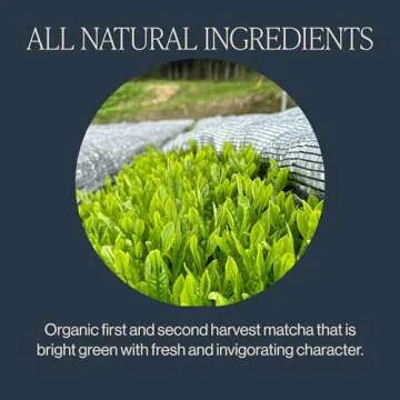 Rishi Tea Everyday Matcha - Organic Japanese Daily Matcha Green Tea Powder for Cafe-Quality Matcha Drinks, Hot or Iced - 1.05 Oz Tin