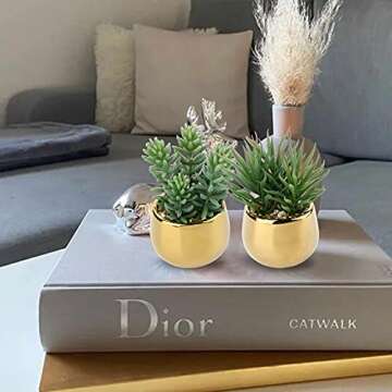 Briful Small Artificial Succulents in Pots Set of 2 Realistic Faux Succulents Plants with Gold Ceram...