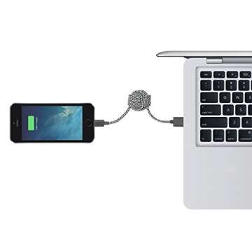 Native Union Key Cable [Apple MFi Certified] for Apple Lightning Devices - Lightning to USB Charging Cable and Keychain (Zebra)