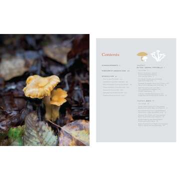 Shroom: Mind-bendingly Good Recipes for Cultivated and Wild Mushrooms