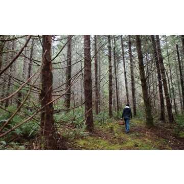 Shroom Cookbook for Mushroom Lovers and Home Chefs
