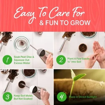 Funky Vegetable Garden Starter Kit with Unique Seed Varieties