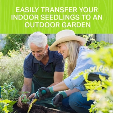 Funky Vegetable Garden Starter Kit with Unique Seed Varieties