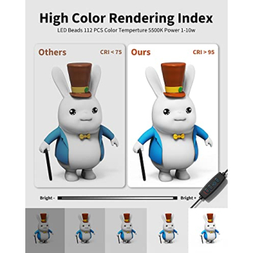 Glendan 12 Inch Portable Photo Light Box with LED Lights