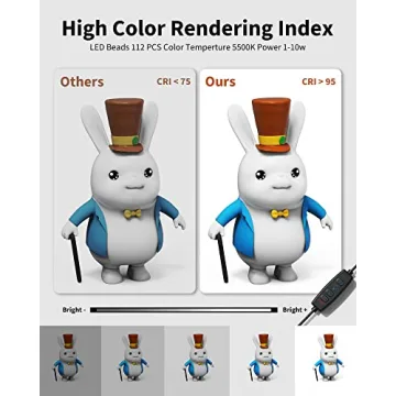 Glendan 12 Inch Portable Photo Light Box with LED Lights