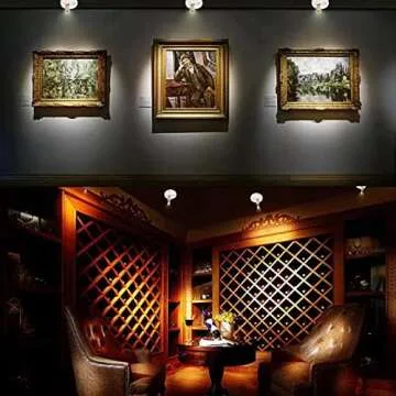 Buy HAMVIDNE Remote Control LED Spotlights for Home Decor