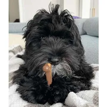 Nylabone Original Bone Power Chew Toy for Dogs, Durable Dog Toys for Aggressive Chewers, Flavor Frenzy Chili Cheese Dog, Popcorn, & Cherry, Small - Up to 25 Ibs, 3 Pack