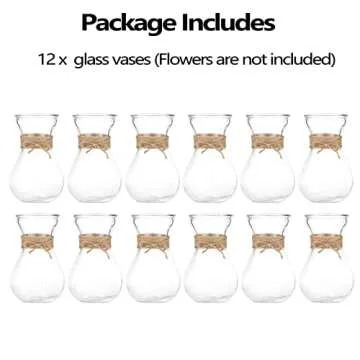 Small Glass Vases for Centerpieces - Hewory 12pcs Clear Mini Hyacinth Avocado Growing Bud Vase Bulk, Cute Tiny Flower Bulb Forcing Plant Containers Set for Wedding Home Living Room Table Decorations
