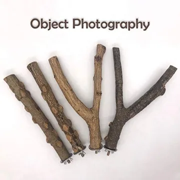 LIMIO Bird Perch - 4 PCS Natural Wood for Birds