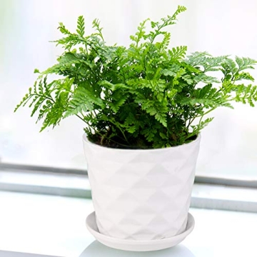 Elegant White Ceramic Cylinder Planters - Set of 4
