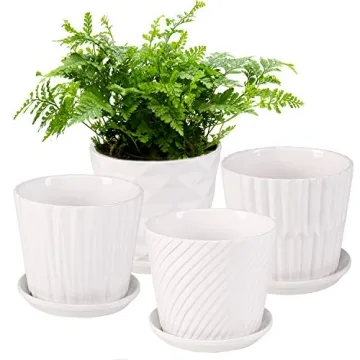 Elegant White Ceramic Cylinder Planters - Set of 4