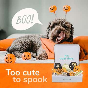 WÜFERS Dog Cookie Box | Handmade Hand-Decorated Dog Treats | Dog Gift Box Made with Locally Sourced Ingredients (Halloween)