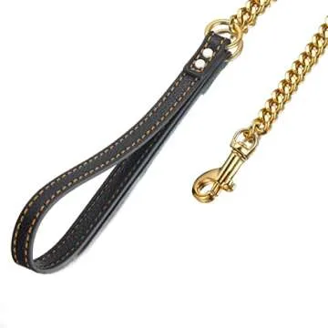 Aiyidi Durable Gold/Silver Dog Chain Leash with Leather Handle
