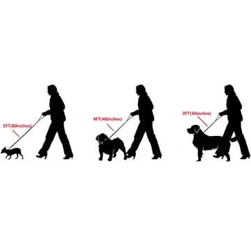 Aiyidi Durable Gold/Silver Dog Chain Leash with Leather Handle