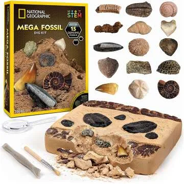 Mega Fossil Dig Kit - Excavate Dinosaur Bones & More