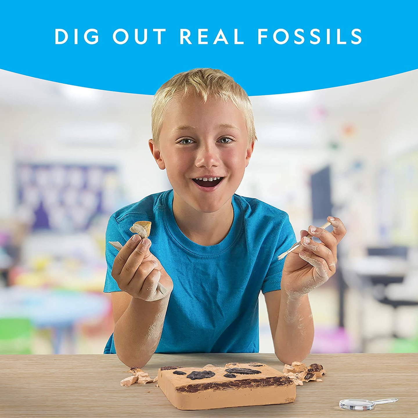 Mega Fossil Dig Kit - Excavate Dinosaur Bones & More