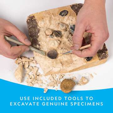 Mega Fossil Dig Kit - Excavate Dinosaur Bones & More
