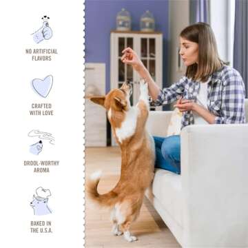 Three Dog Bakery Lick'n Crunch Sandwich Cookies Premium Dog Treats with No Artificial Flavors, Golden & Peanut Butter Flavor, 13 Ounces (Pack of 6)