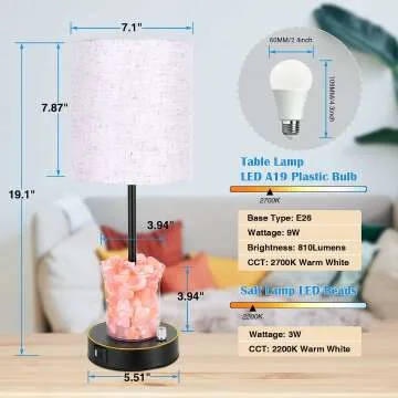 Himalayan Salt Table Lamp with USB Ports and Dimming