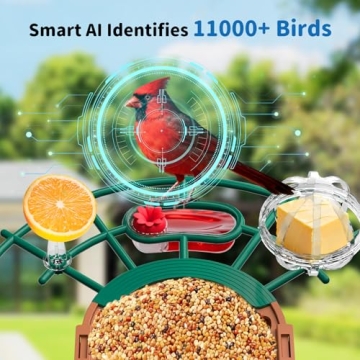 NIORSUN Solar Powered Smart Bird Feeder with Camera