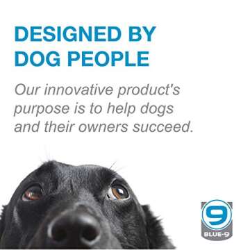 Blue-9 Pet Products KLIMB Dog Training Platform and Agility System, Durable and Portable for Indoor or Outdoor Use, Blue