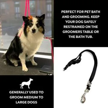 Groomers Helper® 5/8" Professional Loop - Pet Grooming Safety Loop for Dog Bathing, Dog Grooming & Trimming (Black)