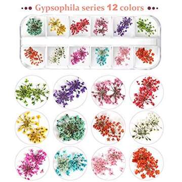 Teenior 24 Colors Nail Dried Flowers, 3D Nail Art Sticker for Tips Manicure Decor Mixed Accessories, Starry Leaves Flower (2 Boxes)