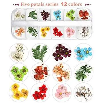 Teenior 24 Colors Dried Flower Nail Art Accessories