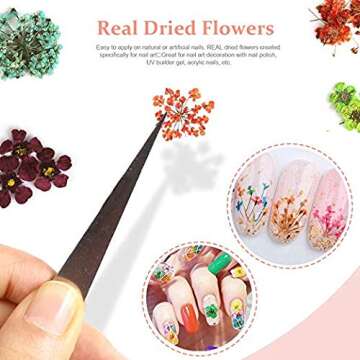 Teenior 24 Colors Nail Dried Flowers, 3D Nail Art Sticker for Tips Manicure Decor Mixed Accessories, Starry Leaves Flower (2 Boxes)