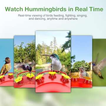 Smart AI Hummingbird Feeder with Camera for Ease of Use