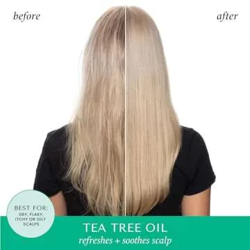 HASK TEA TREE OIL & ROSEMARY Invigorating Shampoo + Conditioner Set for All Hair Types, Color Safe, Gluten-Free, Sulfate-Free, Paraben-Free, Cruelty-Free - 1 Shampoo and 1 Conditioner