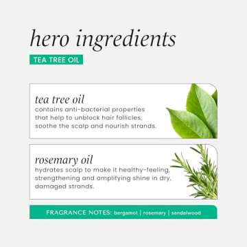 HASK TEA TREE OIL & ROSEMARY Invigorating Shampoo + Conditioner Set for All Hair Types, Color Safe, Gluten-Free, Sulfate-Free, Paraben-Free, Cruelty-Free - 1 Shampoo and 1 Conditioner