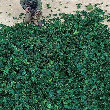 Warmtree Realistic Miniature Leaves Simulation Leaves for DIY Mini Model Railway Fairy Garden Architecture Diorama Scenery Landscape Layout Christmas Thanksgiving Village Accessories, Pack of 4