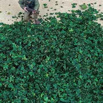 Warmtree Realistic Miniature Leaves Simulation Leaves for DIY Mini Model Railway Fairy Garden Architecture Diorama Scenery Landscape Layout Christmas Thanksgiving Village Accessories, Pack of 4