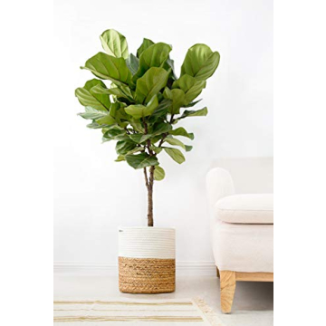 Mkono Cotton Rope Plant Basket Up to 10 Inch Pot