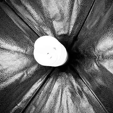 Foto&Tech Photography Daylight Bulb 65W 6500K 120V White Spiral Fluorescent Light Bulb Studio Light For Photography and Daylight Video Lighting (2)