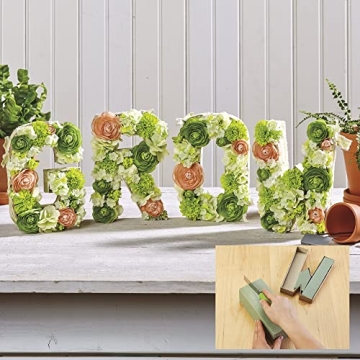 FloraCraft 6 Piece Desert DryFōM for Floral Arrangements