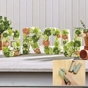 FloraCraft 6 Piece Desert DryFōM for Floral Arrangements