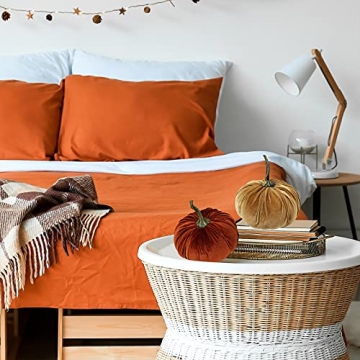 Fall Velvet Pumpkins Set for Thanksgiving and Halloween Decor