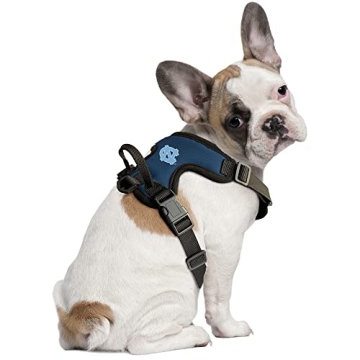 Littlearth NCAA Front Clip Pet Harness for All Breeds