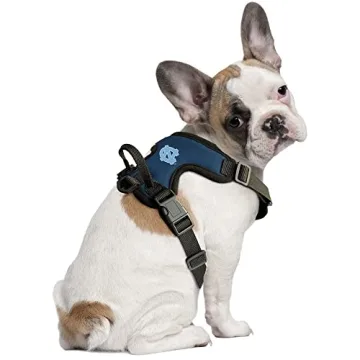 Littlearth NCAA Front Clip Pet Harness for All Breeds