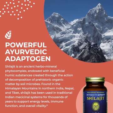 HealthForce SuperFoods Shilajit - Boost Energy & Wellness