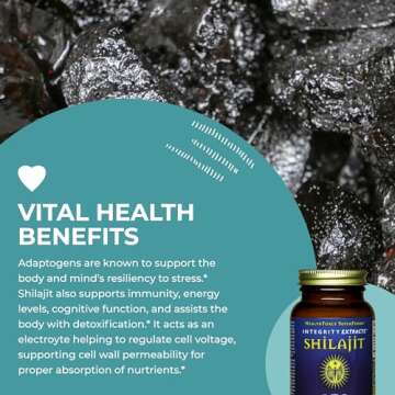 HealthForce SuperFoods Shilajit - Boost Energy & Wellness