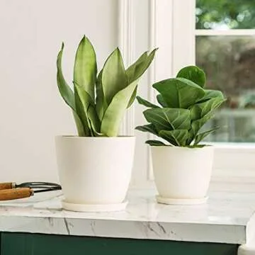 Mkono 7.5" Plastic Plant Pots with Saucers, Set of 5