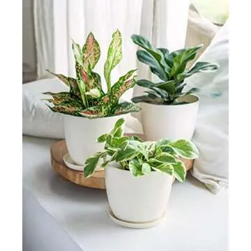 Mkono 7.5" Plastic Plant Pots with Saucers, Set of 5