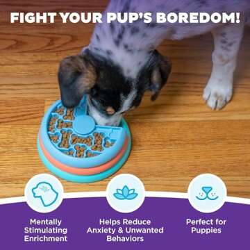 Outward Hound by Nina Ottosson Puppy Lickin' Layers Interactive Dog Puzzle Feeder, Level 2 Intermediate Enrichment Toy, Multicolored