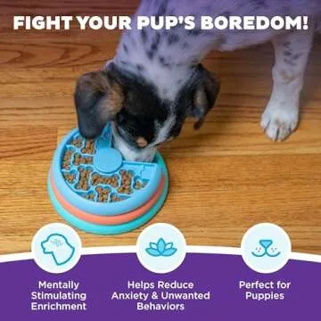 Outward Hound by Nina Ottosson Puppy Lickin' Layers Interactive Dog Puzzle Feeder, Level 2 Intermediate Enrichment Toy, Multicolored