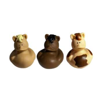 Buck Buck Bronco Rubber Horse Ducks - 20 Pack Fun