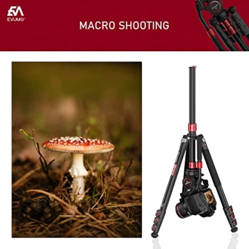 EVUMO GF4 Aluminum Tripod with Phone Mount for Creators